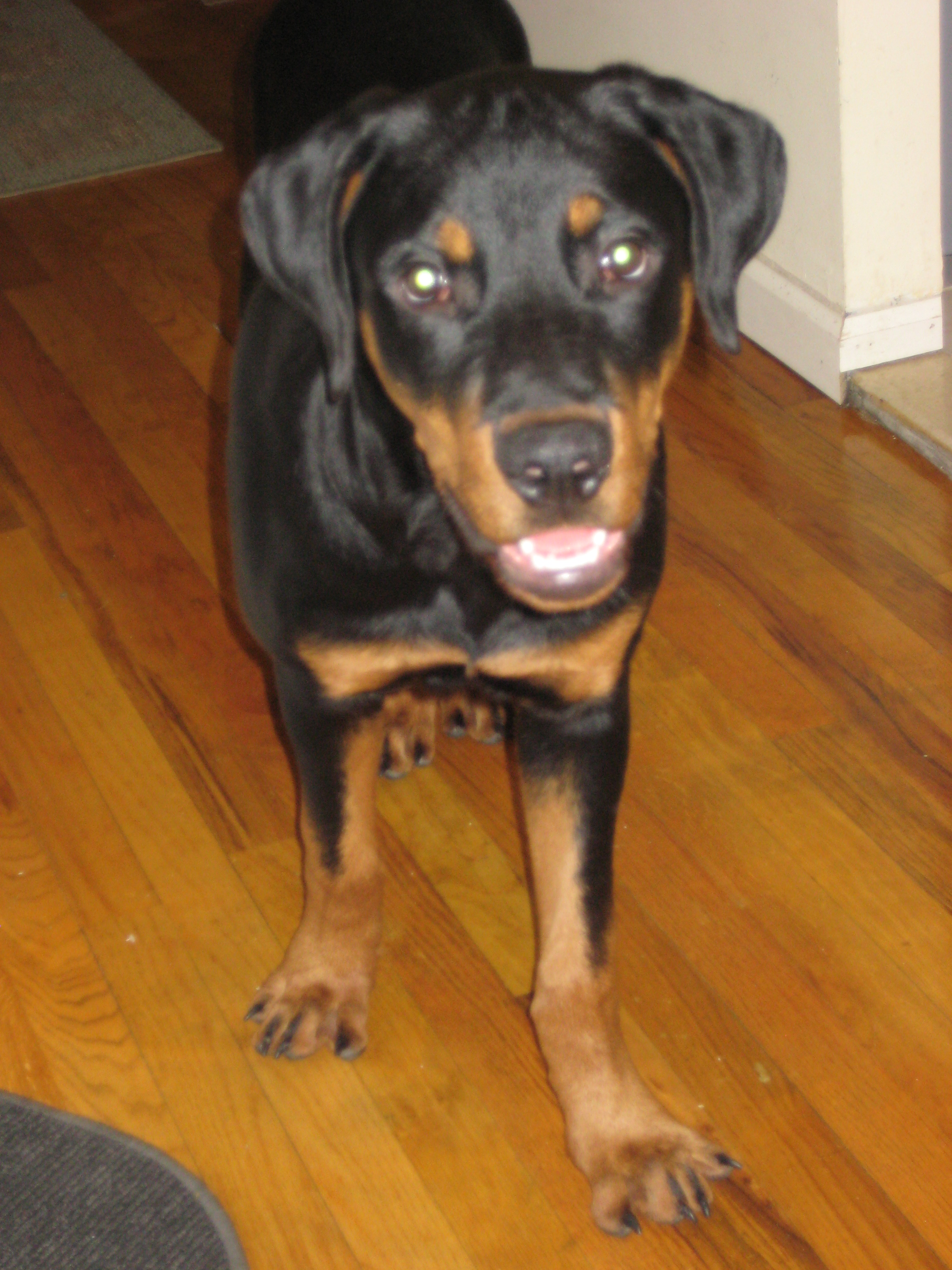 jackson65monthsoldny.jpg
